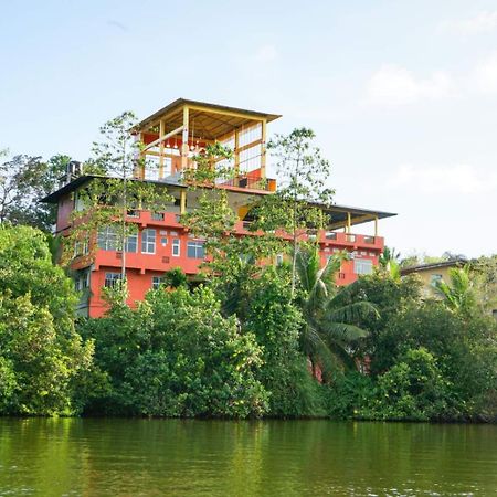 Hotel Madu River Edge Balapitiya Zewnętrze zdjęcie